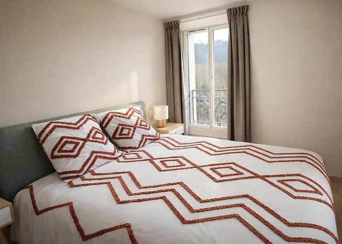 La Du Petit Port - Appartements&chambres Appartement Aix-les-Bains